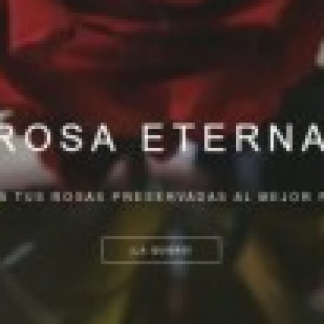 Profile picture of Rosa Eterna Online